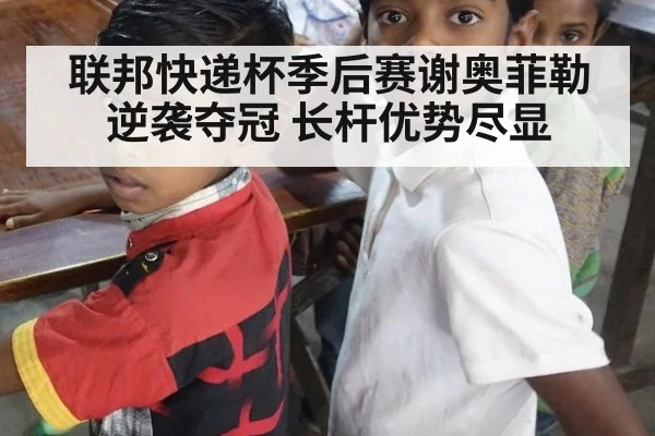 联邦快递杯季后赛谢奥菲勒逆袭夺冠 长杆优势尽显